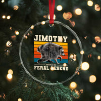 Jimothy from Seattle WA Feral Legend Raccoon Crystal Glass Ornament Viral Trash Panda Retro Sunset Strip Graphic