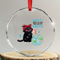 Just A Cat Who Loves The Earth Crystal Glass Ornament Earth Day Cat Lover Gift