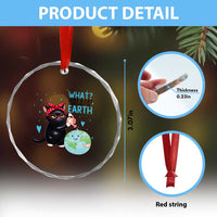 Just A Cat Who Loves The Earth Crystal Glass Ornament Earth Day Cat Lover Gift