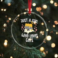 Just A Girl Who Loves Cats Crystal Glass Ornament Cute Kittens Pet Lover TS12