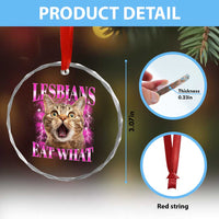 Lesbians Eat What Crystal Glass Ornament Funny Cat Gay Pride LGBTQ Pun TS10