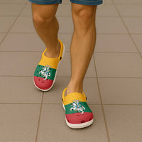 Lithuania Clogs Shoes Flag Color Inspiration - Wonder Print Shop