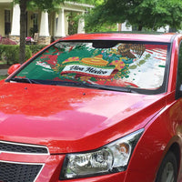 Viva Mexico Auto Sun Shade Grunge Style