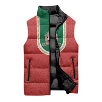 Custom Morocco 2026 World Football Sleeveless Puffer Jacket Atlas Lions Go Champions