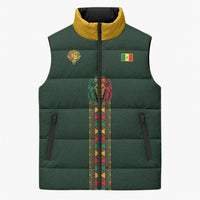 Custom Senegal 2026 World Football Sleeveless Puffer Jacket Lions of Teranga Go Champions