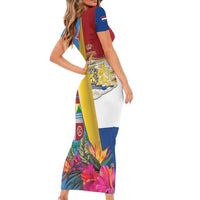 Aruba-Netherlands Family Matching Short Sleeve Bodycon Dress and Hawaiian Shirt Tropical Unique Style