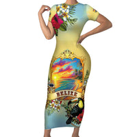 Belize Toucan Family Matching Short Sleeve Bodycon Dress and Hawaiian Shirt Belizean Pride Retro Style