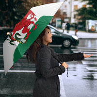Personalised Wales Cardiff Capital Umbrella Welsh Dragon Glamorgan Flag Style - Wonder Print Shop
