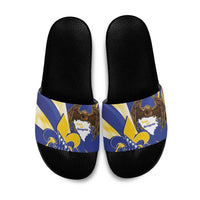Bosnia and Herzegovina Independence Day Slide Sandals Zlatni Ljiljan Map With Eagle Proud