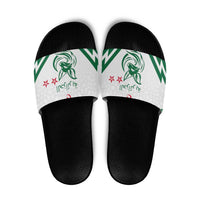 Algeria Football Slide Sandals Go Fennecs Go - Wonder Print Shop