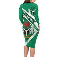 Nigeria Coat Of Arms Long Sleeve Bodycon Dress Sporty Style