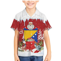 Bosnia and Herzegovina Christmas Family Matching Mermaid Dress and Hawaiian Shirt Santa With National Flag - Wonder Print Shop