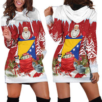 Bosnia and Herzegovina Christmas Hoodie Dress Santa With National Flag - Wonder Print Shop