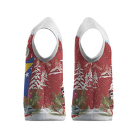 Bosnia and Herzegovina Christmas Knitted V-Neck Vest Santa With National Flag - Wonder Print Shop