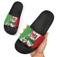 Free Iran Lion and Sun Slide Sandals Persian Freedom Protest