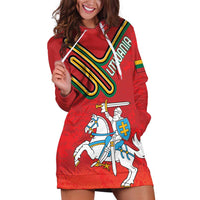 Personalized Lithuania Coat Of Arms Hoodie Dress Special Version - Wonder Print Shop