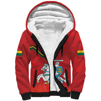 Personalized Lithuania Coat Of Arms Sherpa Hoodie Special Version - Wonder Print Shop