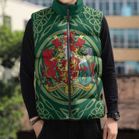 Personalized Carmarthenshire Wales Sleeveless Puffer Jacket Map and Emblem Celtic Style - Wonder Print Shop