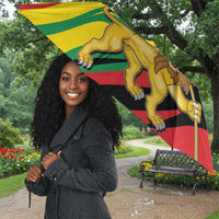 Ethiopia National Day 1991 Umbrella Habesha Lion Of Judah