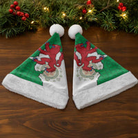 Montgomeryshire Wales Christmas Santa Hat Map and Emblem Celtic Style - Wonder Print Shop