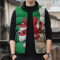 Montgomeryshire Wales Sleeveless Puffer Jacket Map and Emblem Celtic Style - Wonder Print Shop