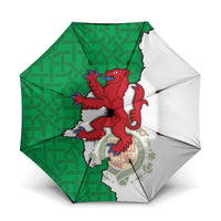 Montgomeryshire Wales Umbrella Map and Emblem Celtic Style - Wonder Print Shop