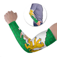 Radnorshire Wales Arm Sleeves Map and Emblem Celtic Style - Wonder Print Shop