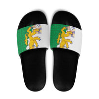 Radnorshire Wales Slide Sandals Map and Emblem Celtic Style - Wonder Print Shop