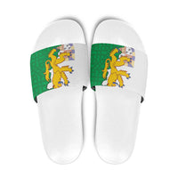 Radnorshire Wales Slide Sandals Map and Emblem Celtic Style - Wonder Print Shop