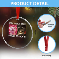 Meme Cat Crystal Glass Ornament Born To Dilly Dally Forced To Lock In Funny Saying Cats TS10