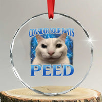 Meme Cat Crystal Glass Ornament Funny Weird Humor Consider Your Pants Peed TS10