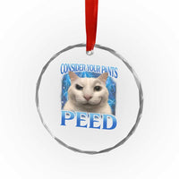 Meme Cat Crystal Glass Ornament Funny Weird Humor Consider Your Pants Peed TS10
