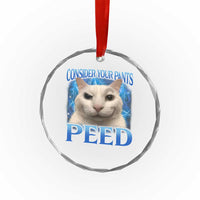 Meme Cat Crystal Glass Ornament Funny Weird Humor Consider Your Pants Peed - Wonder Print Shop