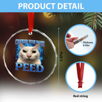 Meme Cat Crystal Glass Ornament Funny Weird Humor Consider Your Pants Peed TS10