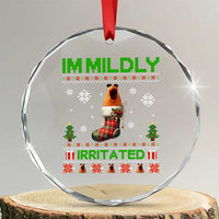 Mildly Irritated Marcus the Worm Meme Crystal Glass Ornament Funny Christmas Stocking Weirdcore - Wonder Print Shop