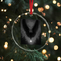 Mothman Crystal Glass Ornament Horror Poster Halloween Cryptid Lover TS10