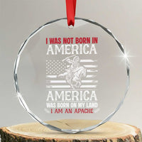 Native American Apache Crystal Glass Ornament I Was Not Born In America TS14