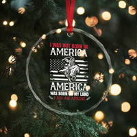 Native American Apache Crystal Glass Ornament I Was Not Born In America TS14