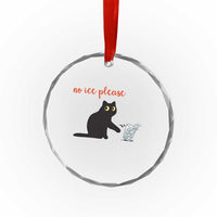 No Ice Please Crystal Glass Ornament Funny Cat Abolish ICE Meme Protest
