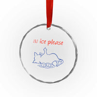 No Ice Please Crystal Glass Ornament Funny Cat Anti ICE Deportation Human Rights