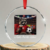 Norway Soccer Football Fan Norge Norwegian Flag Crystal Glass Ornament Funny Raccoon Drinking Iced Coffee