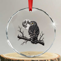 Owl Full Moon Graphic Crystal Glass Ornament Vintage Dark Academia Bird