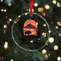Protect Our National Parks Crystal Glass Ornament Bison Buffalo Vintage Graphic TS02