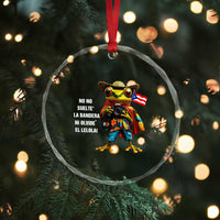 Puerto Rico Coqui' Crystal Glass Ornament Debí Tirar Más Fotos TS02