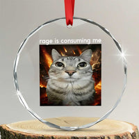 Rage Is Consuming Me Cat Crystal Glass Ornament Funny Weird Humor Silly Cat Meme TS10