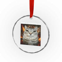 Rage Is Consuming Me Cat Crystal Glass Ornament Funny Weird Humor Silly Cat Meme TS10
