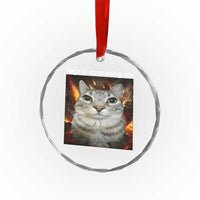 Rage Is Consuming Me Cat Crystal Glass Ornament Funny Weird Humor Silly Cat Meme - Wonder Print Shop