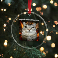 Rage Is Consuming Me Cat Crystal Glass Ornament Funny Weird Humor Silly Cat Meme TS10