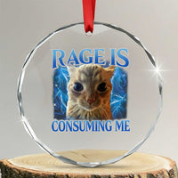 Rage Is Consuming Me Cat Meme Crystal Glass Ornament Funny Weird Humor Cat Face Bootleg TS10