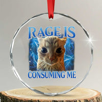 Rage Is Consuming Me Cat Meme Crystal Glass Ornament Funny Weird Humor Cat Face Bootleg - Wonder Print Shop